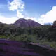 Central Suriname Nature Reserve