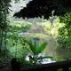 Tropical Rainforest Heritage of Sumatra
