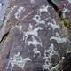 Petroglyphic Complexes of the Mongolian Altai