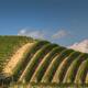 Vineyard Landscape of Piedmont: Langhe-Roero and Monferrato