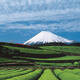 Fujisan, sacred place and source of artistic inspiration