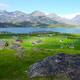 Kujataa Greenland: Norse and Inuit Farming at the Edge of the Ice Cap