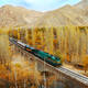 Trans-Iranian Railway