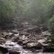 Great Smoky Mountains National Park
