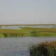 Doñana National Park