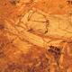 Australian Fossil Mammal Sites (Riversleigh / Naracoorte)